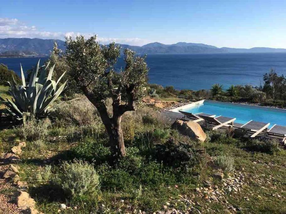 Casa Turrigiani Villa Sagone  Eksteriør bilde