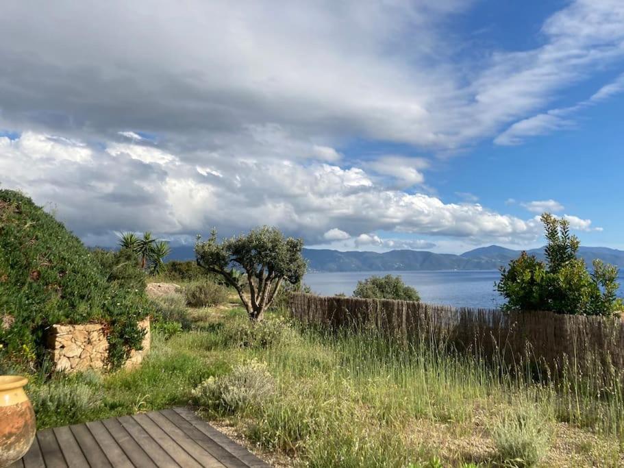 Casa Turrigiani Villa Sagone  Eksteriør bilde