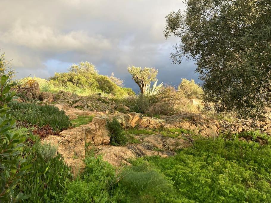 Casa Turrigiani Villa Sagone  Eksteriør bilde