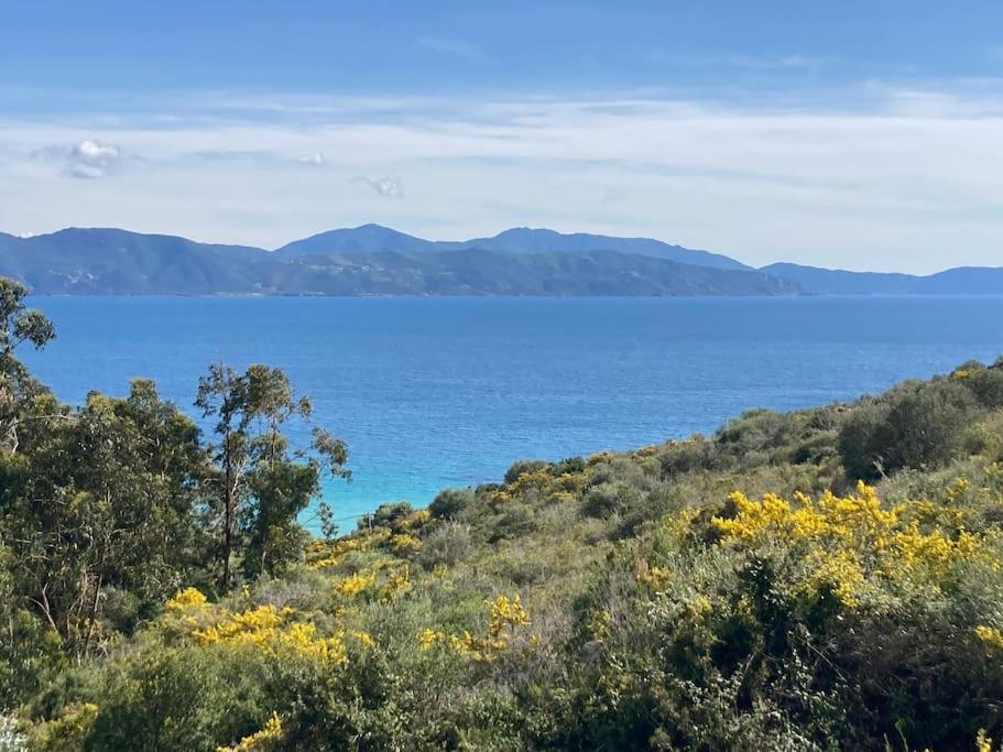 Casa Turrigiani Villa Sagone  Eksteriør bilde