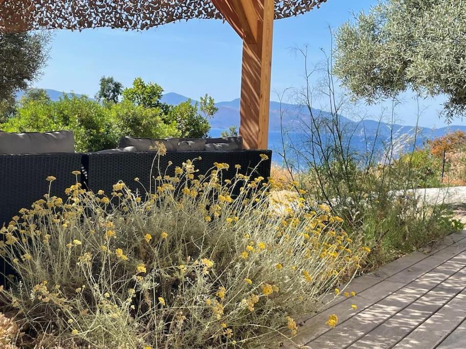 Casa Turrigiani Villa Sagone  Eksteriør bilde