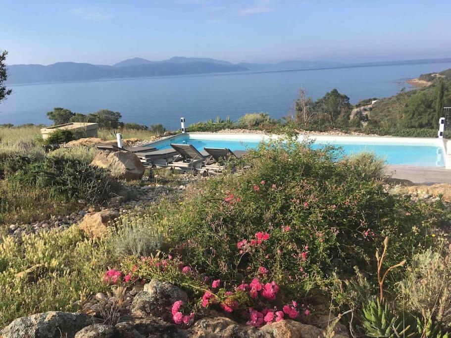 Casa Turrigiani Villa Sagone  Eksteriør bilde