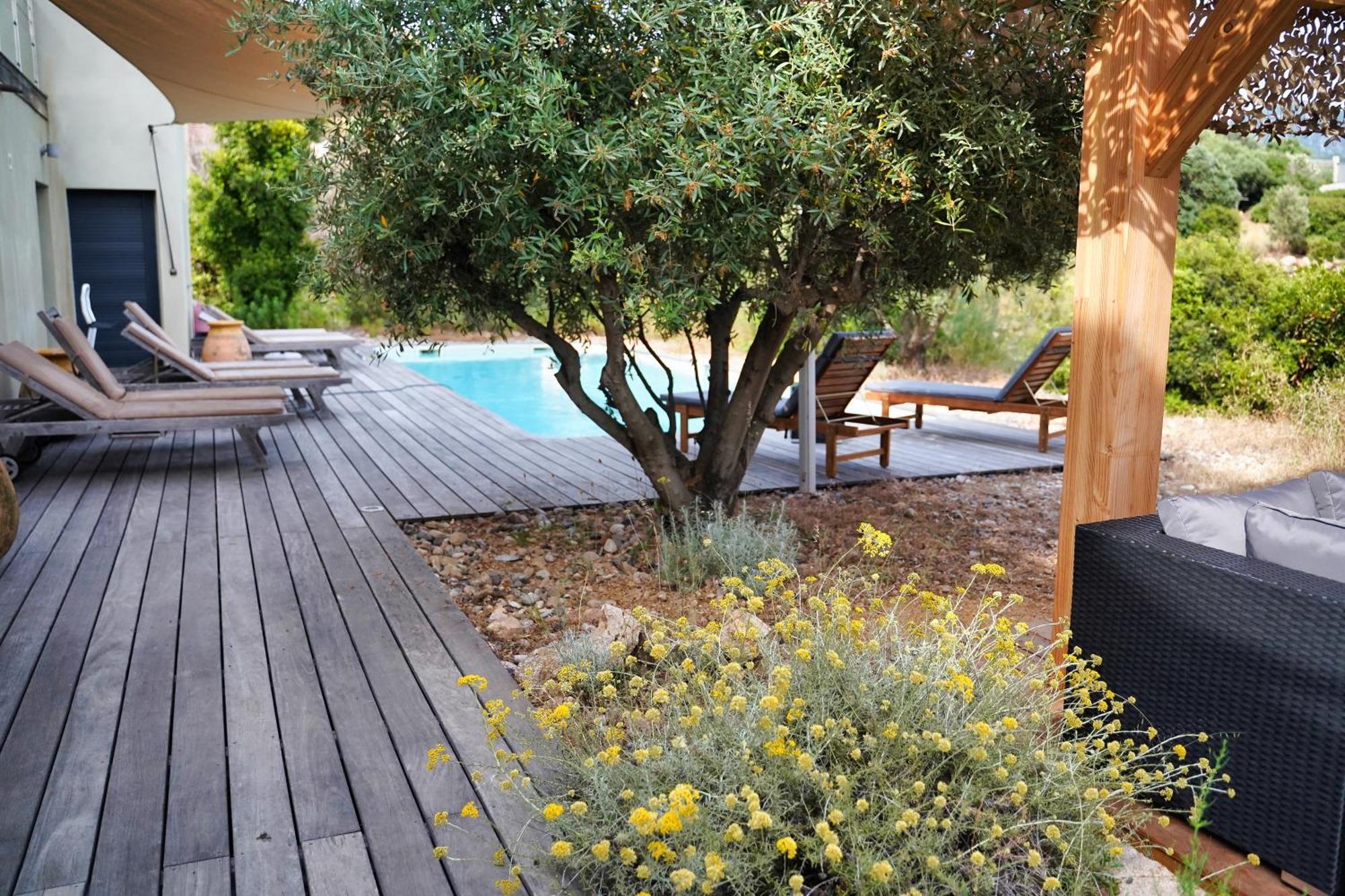 Casa Turrigiani Villa Sagone  Eksteriør bilde
