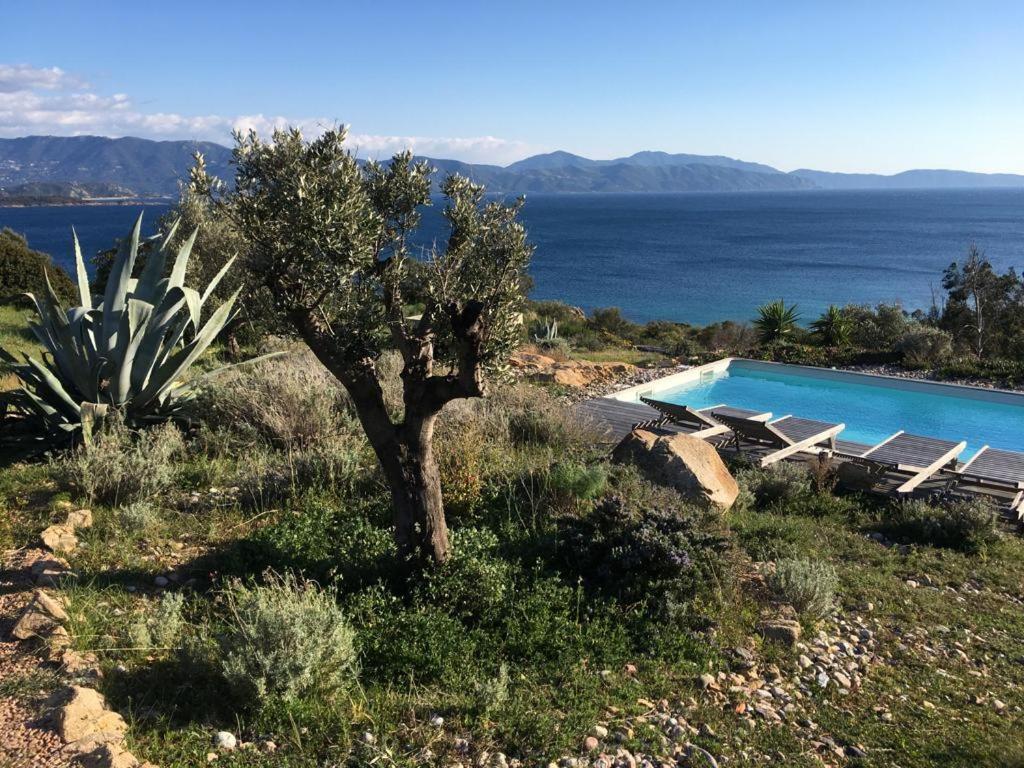 Casa Turrigiani Villa Sagone  Eksteriør bilde