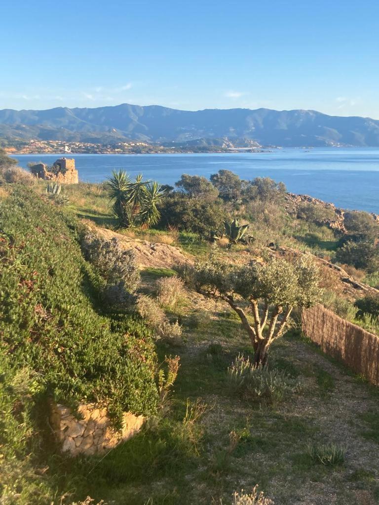 Casa Turrigiani Villa Sagone  Eksteriør bilde