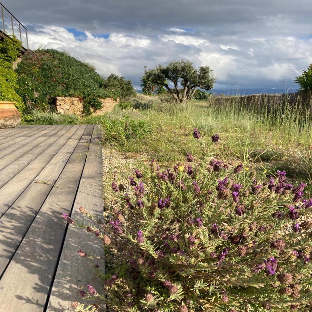 Casa Turrigiani Villa Sagone  Eksteriør bilde