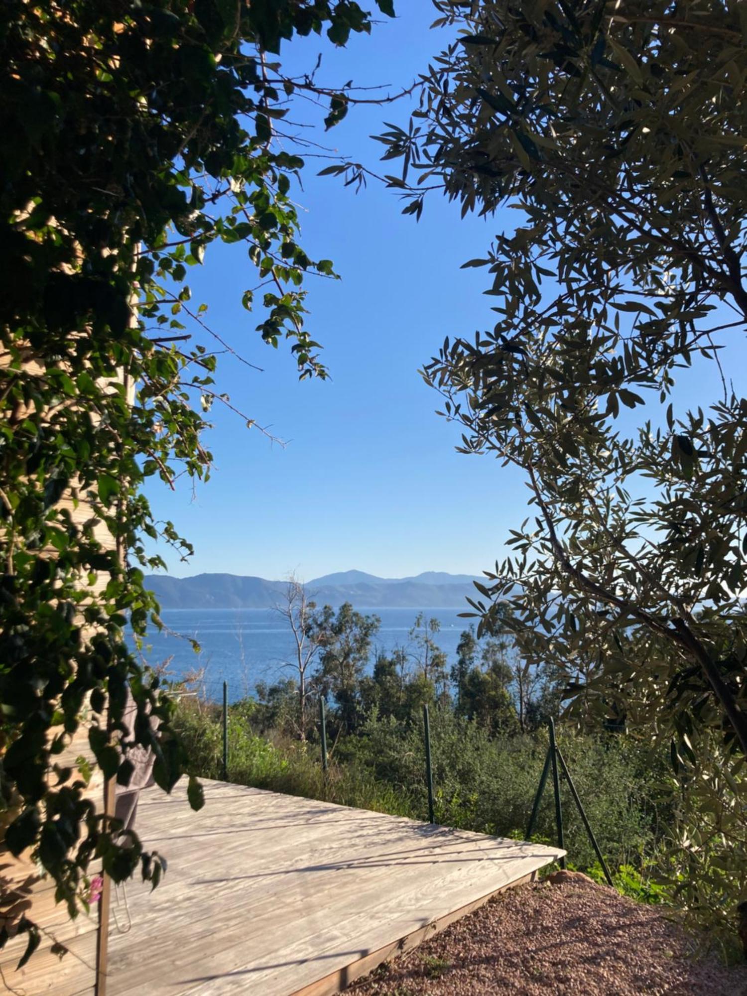 Casa Turrigiani Villa Sagone  Eksteriør bilde