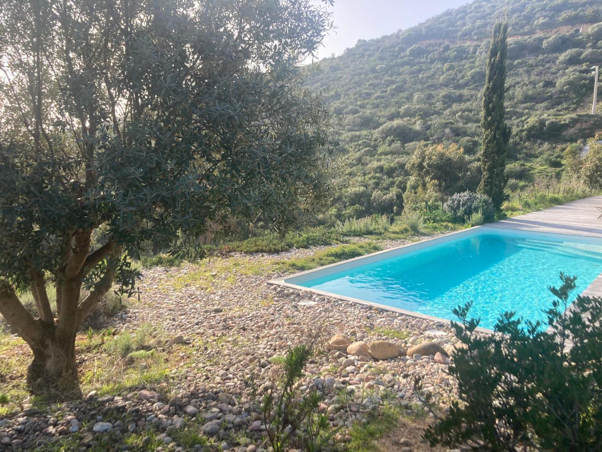 Casa Turrigiani Villa Sagone  Eksteriør bilde