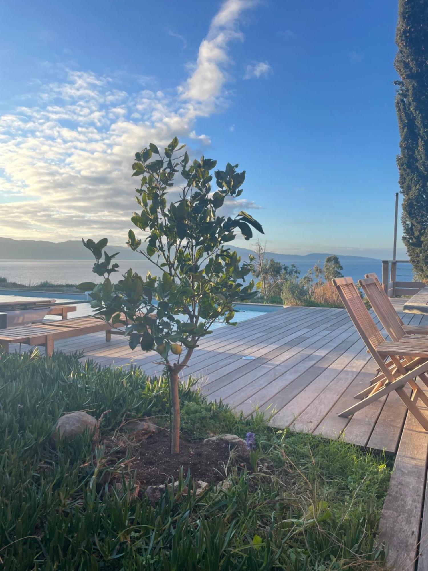 Casa Turrigiani Villa Sagone  Eksteriør bilde